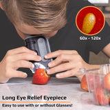 Lighted Pocket Microscope 60x-120x