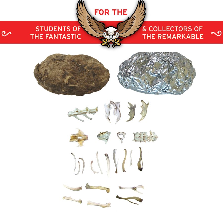 Cabinet of Owl Pellets: Dissection Kit with two pellets and assorted owl bones for study