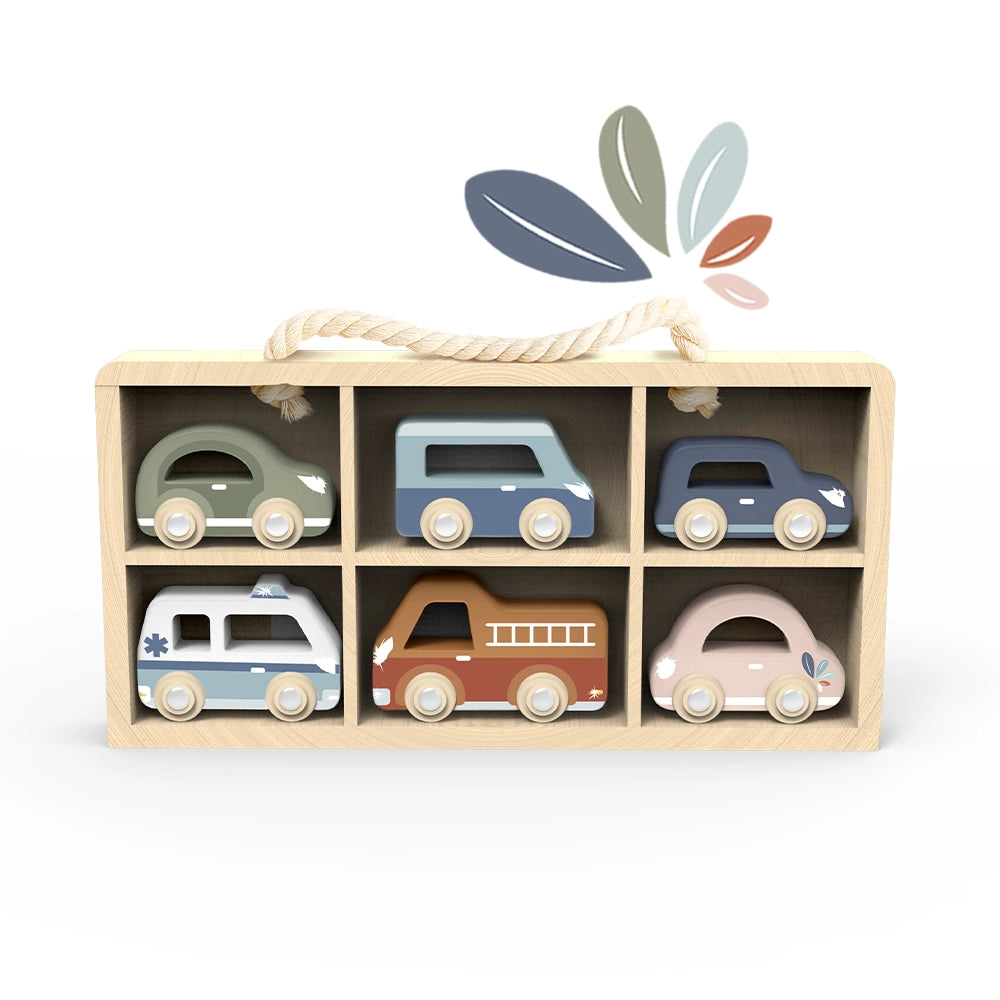 Car Display Case & Cars