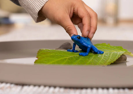 Child’s hand playing with a bright Blue Poison Dart Frog toy on a green leaf, showcasing vibrant colors.