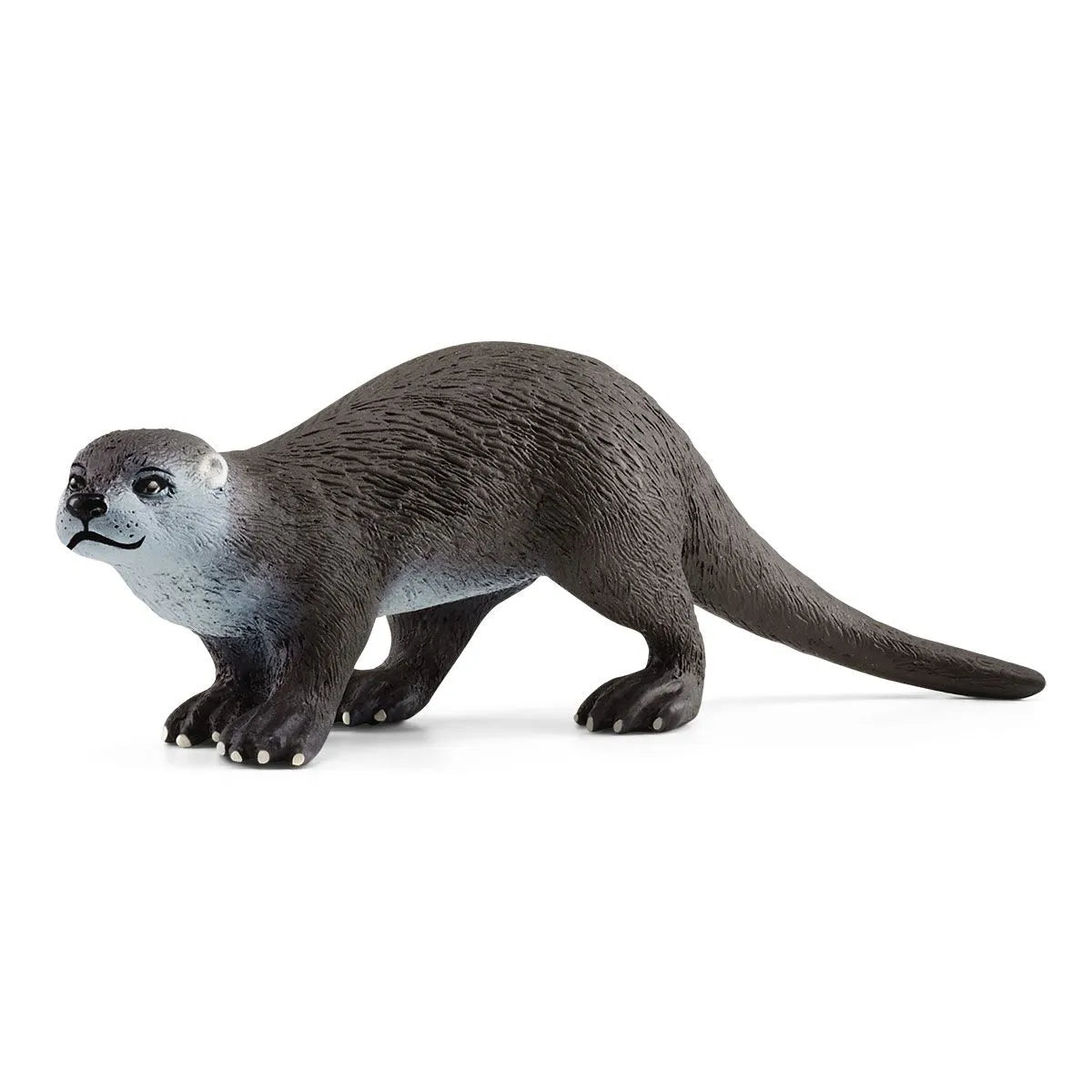 Otter