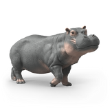 Hippopotamus