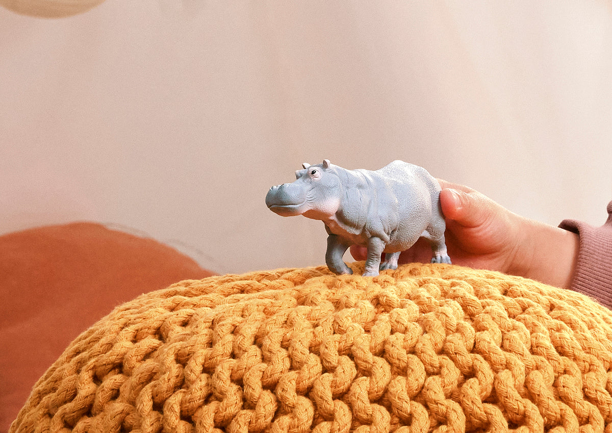 Hippopotamus