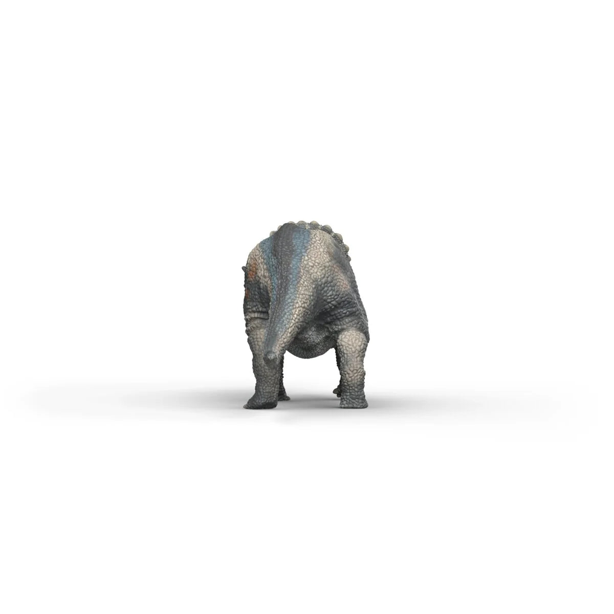 Triceratops toy dinosaur viewed from behind on a white background