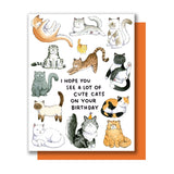 Hope You See A Lot of Cute Cats Card