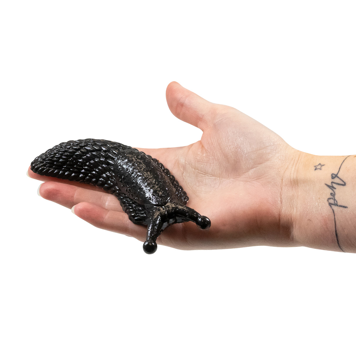Sticky Slug