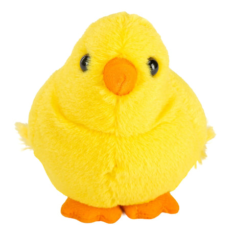 Audubon Bird | Baby Chick