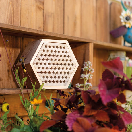 Solitary Bee Habitat