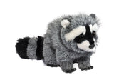 Raccoon Roz
