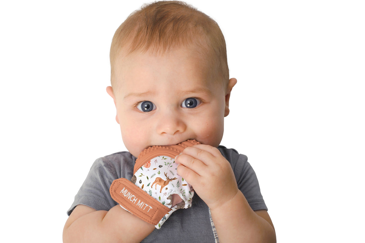 Munch Mitt | Woodland Animals