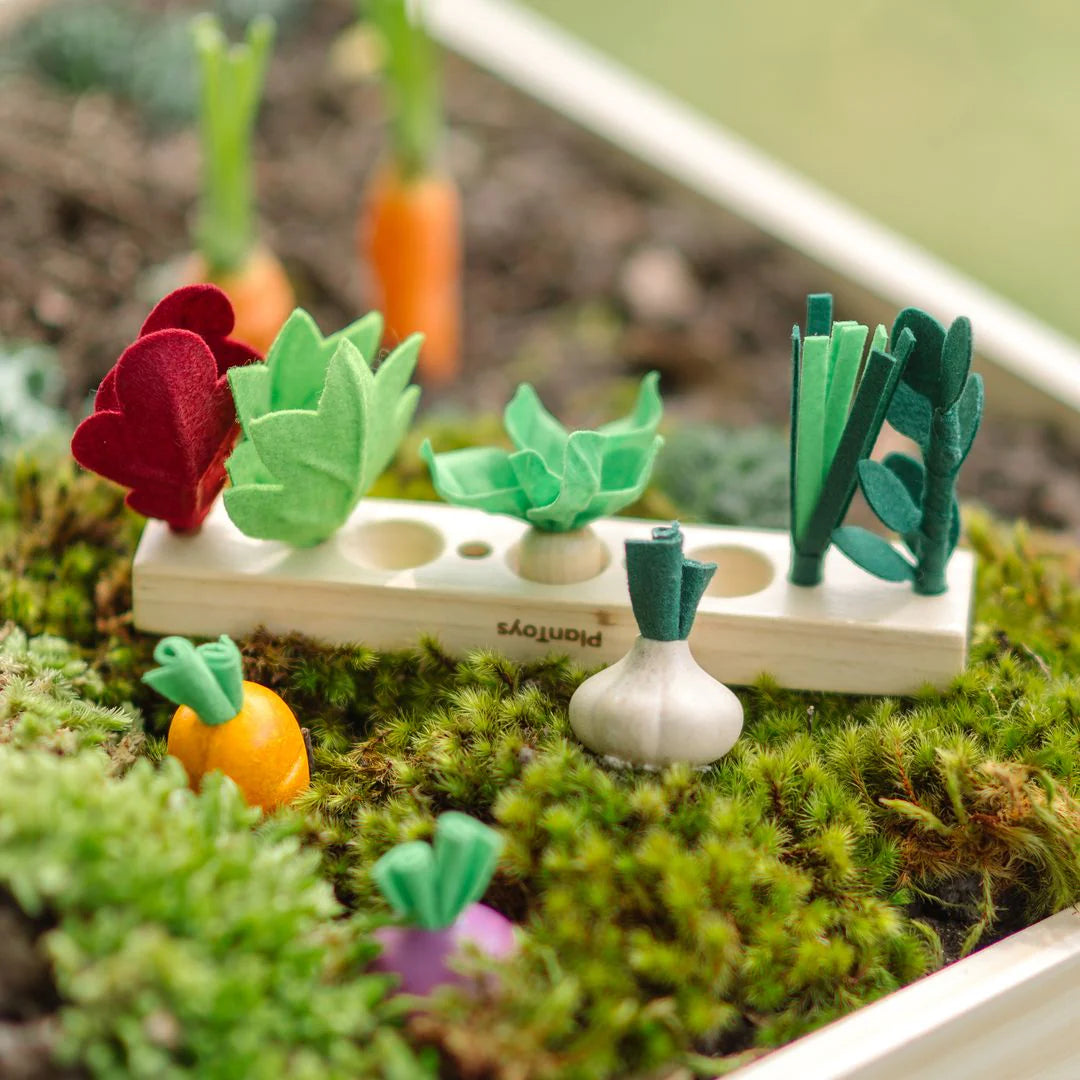 Build a Garden Seedling Patch