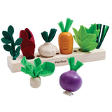 Build a Garden Seedling Patch