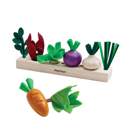 Build a Garden Seedling Patch