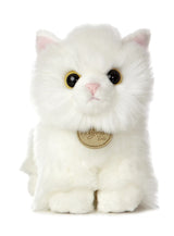 Angora Kitten