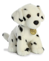 Dalmation Pup