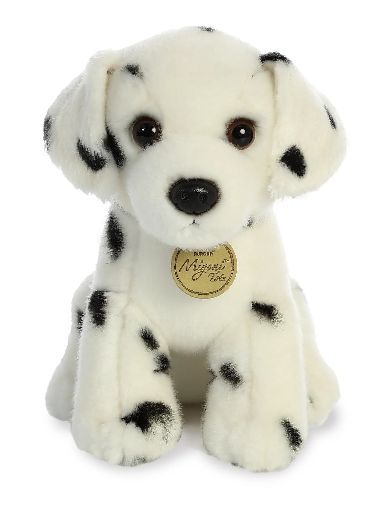 Dalmation Pup