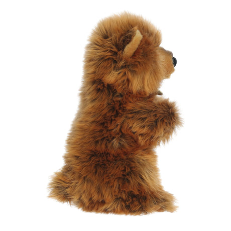 Grizzly Bear Cub Sitting Pretty