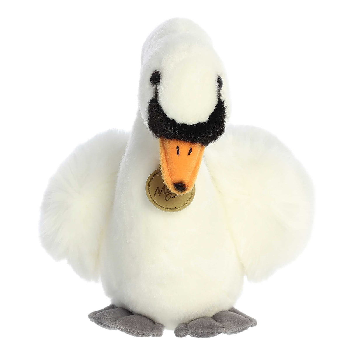 Swan