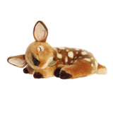 Fawn Sleepy