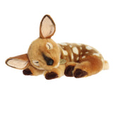 Fawn Sleepy