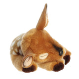 Fawn Sleepy
