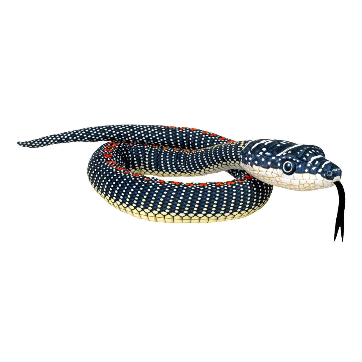 Paradise Flying Snake