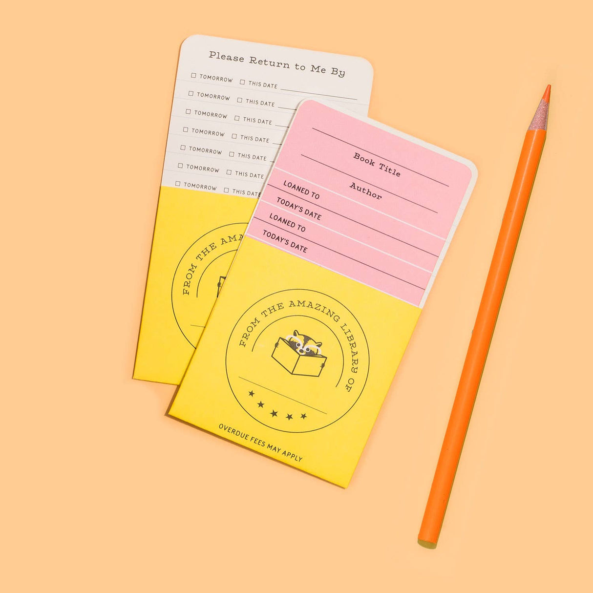Kids Library Kit checkout cards and pockets with a pencil for tracking borrowed books at home library playtime