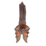 Hanging Bat