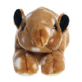 Tapir Calf