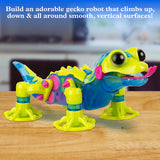 Colorful robotic gecko toy with suction cup feet designed to climb smooth vertical surfaces indoors