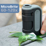 Lighted Pocket Microscope 60x-120x