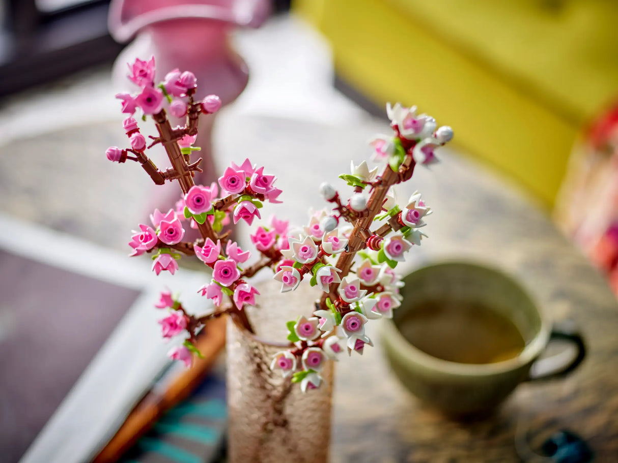 Flowers Cherry Blossoms