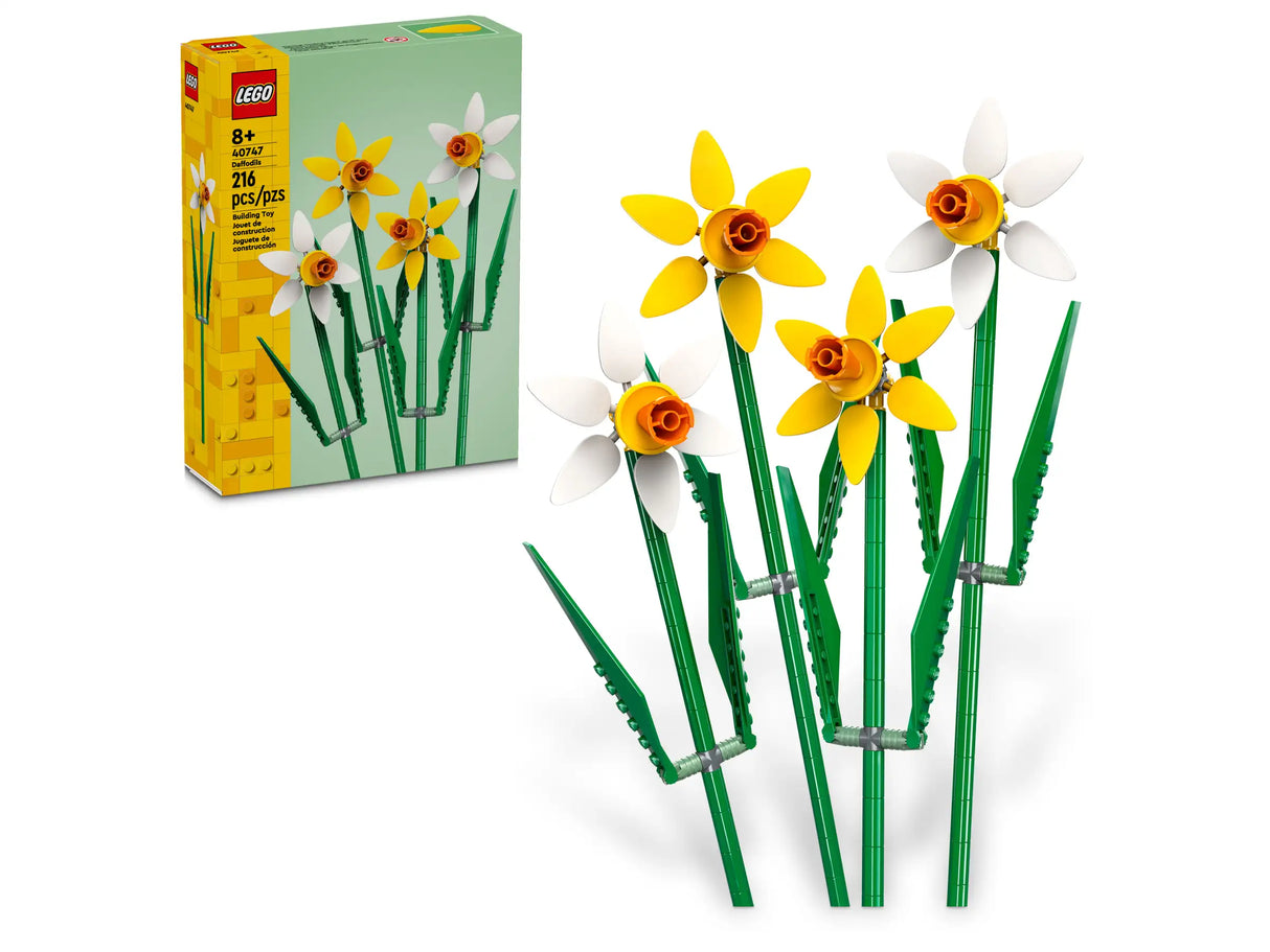 Flowers Daffodils