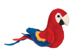 Parrot Mauie
