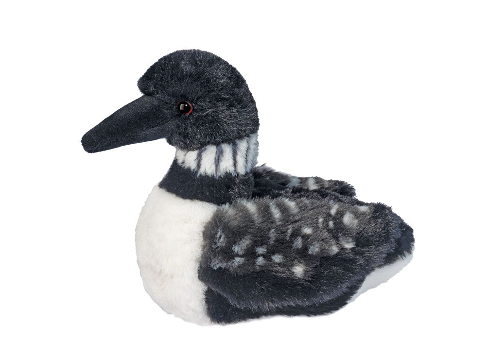 Loon Loonie