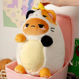 Tayto Calico Cat