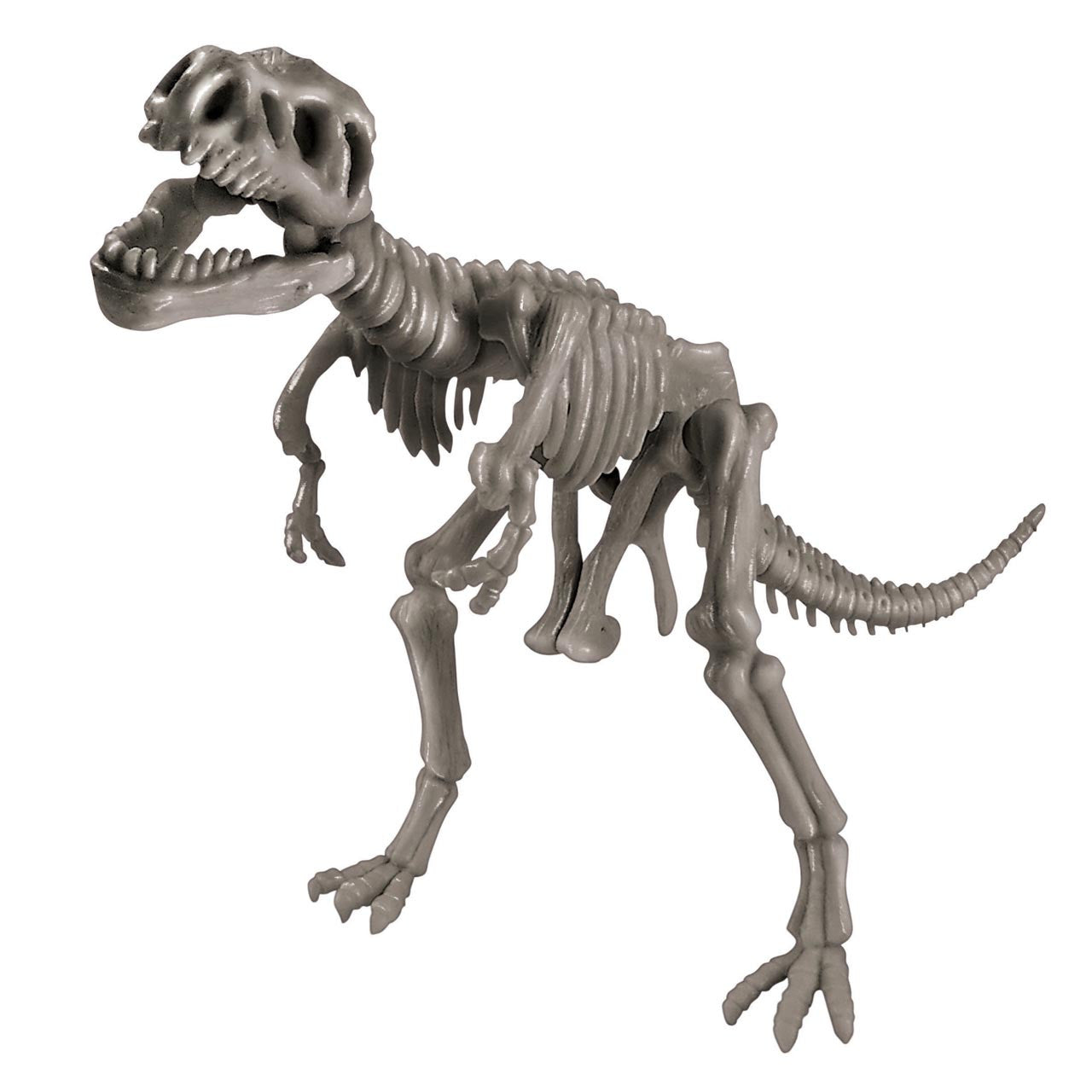 T-Rex Dig Kit showing a fully assembled gray Tyrannosaurus Rex skeleton model with detailed bones and open jaw.