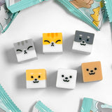 Six small square pet erasers with cute cat and dog faces surrounded by teal packaging bags on a white surface