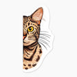 Close-up illustration of a tabby cat with bright yellow eyes and detailed fur on a 3-inch art sticker.
