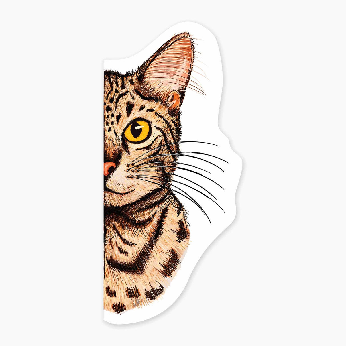 Close-up illustration of a tabby cat with bright yellow eyes and detailed fur on a 3-inch art sticker.