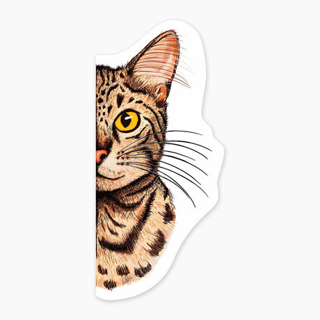 Close-up illustration of a tabby cat with bright yellow eyes and detailed fur on a 3-inch art sticker.