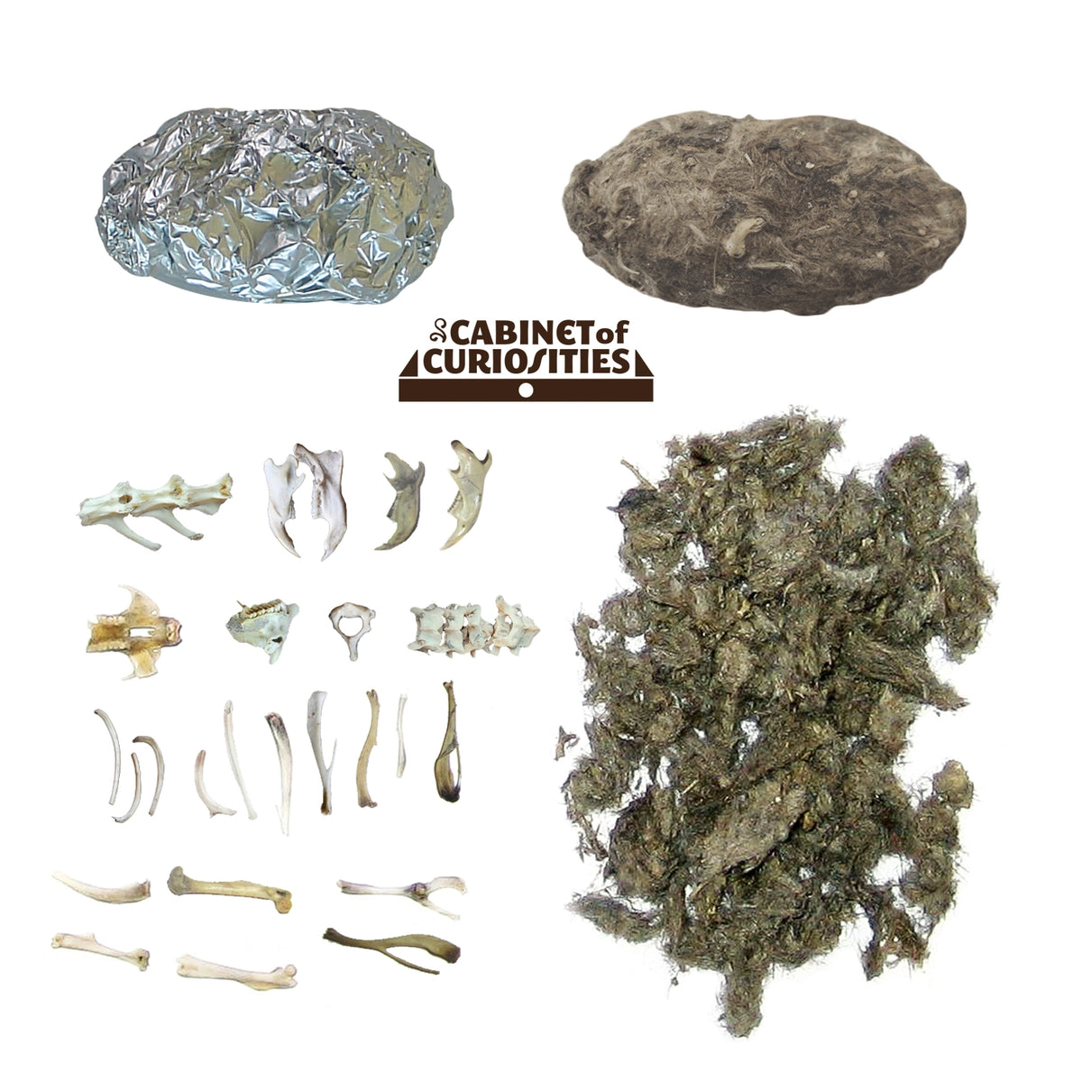 Cabinet of Owl Pellets: Dissection Kit with wrapped owl pellet, bones, skulls, and nesting material
