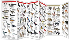 Pocket New Hampshire Wildlife folding guide showing colorful illustrations of local birds and mammals for easy identification.
