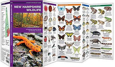 Pocket New Hampshire Wildlife folding pocket guide displaying illustrated local animals and insects for easy outdoor reference.