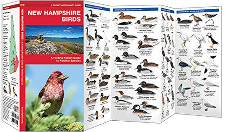 Pocket New Hampshire Birds folding guide showing illustrated bird species and ecoregion map for bird identification.