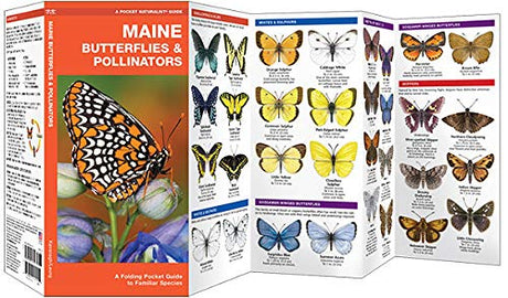 Pocket Maine Butterflies & Pollinators folding guide showing illustrations of common butterfly species in Maine.