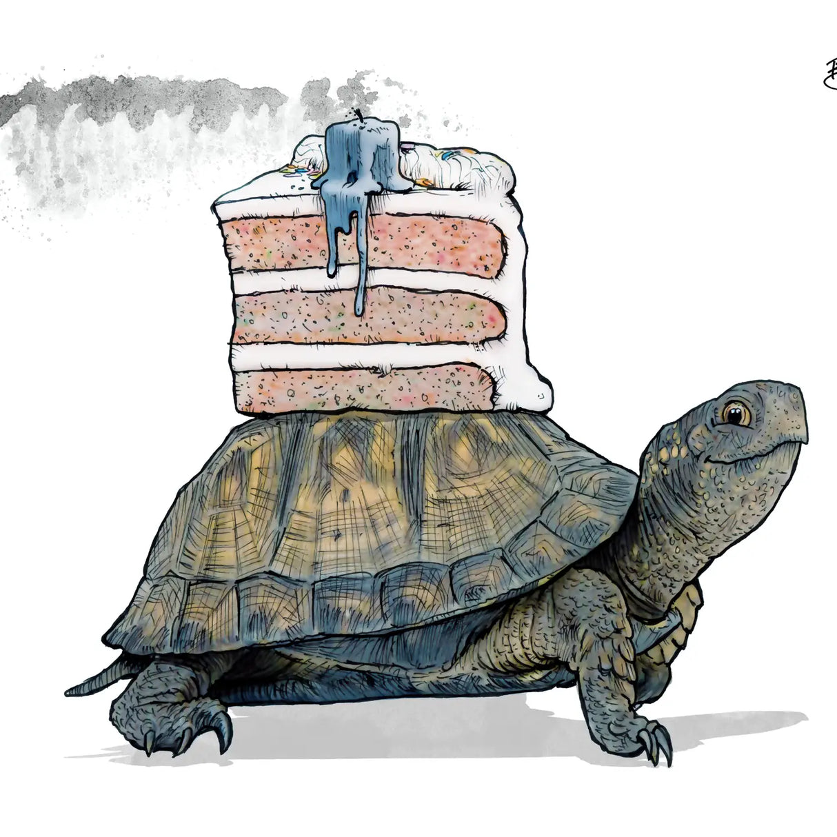 Tortoise Cake Card