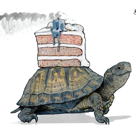 Illustration of a tortoise carrying a slice of cake on its back, Tortoise Cake Card with eco-friendly materials.