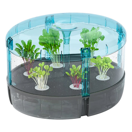 Hydroponics Lab tabletop garden with young plants growing in a clear indoor hydroponic system