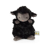 Wee Kiddo the Black Lamb